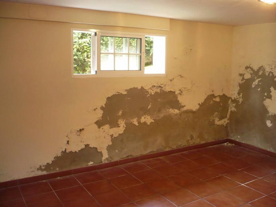 Eliminación de salitre en las paredes - Oniria Arquitectura