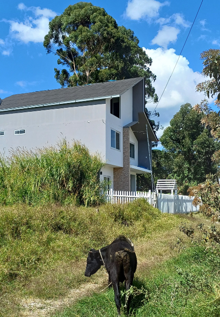 Fachada de casa de campo 